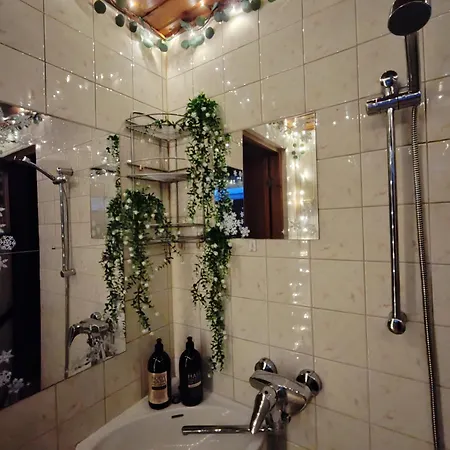 Elfs House By The River